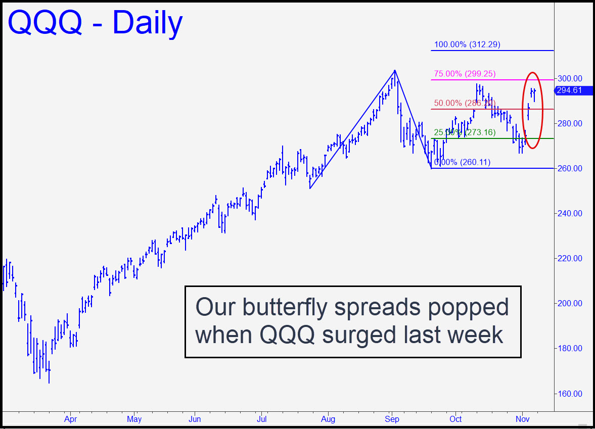 butterfly spread assignment risk