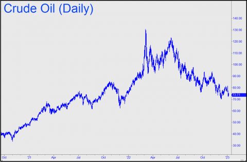 Crude Oil Daily Ricks Picks